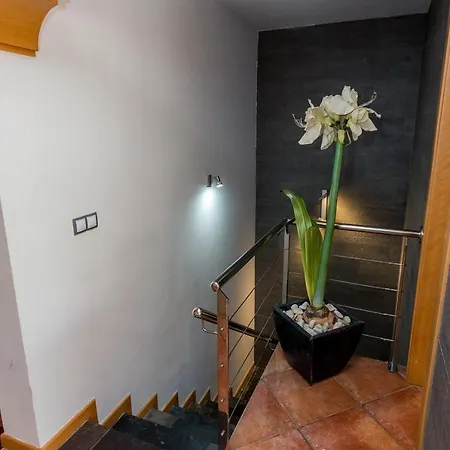 Costa Adeje Design Luxury 아파트호텔 아데제